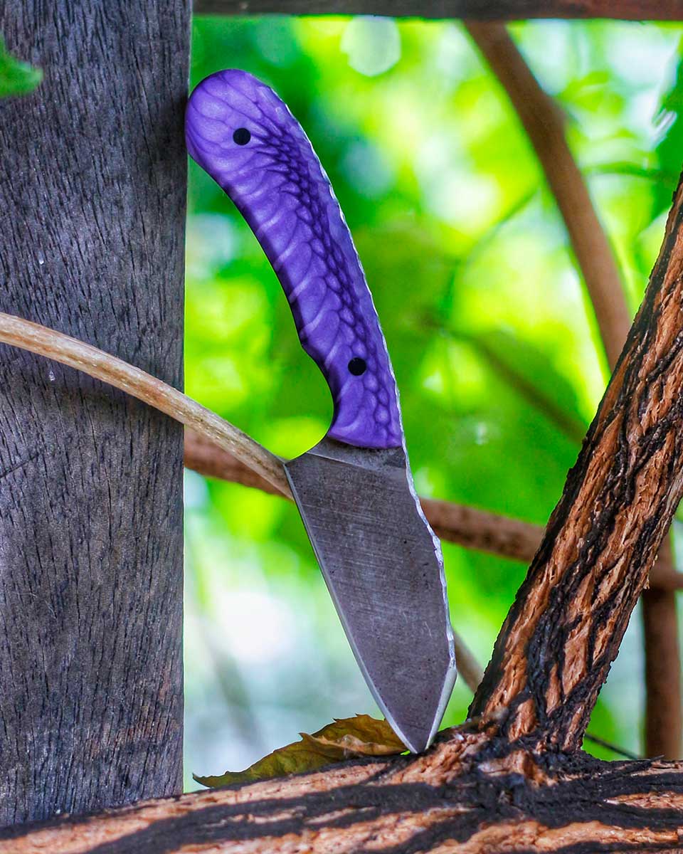 EDC_purple_snake_juma.jpg